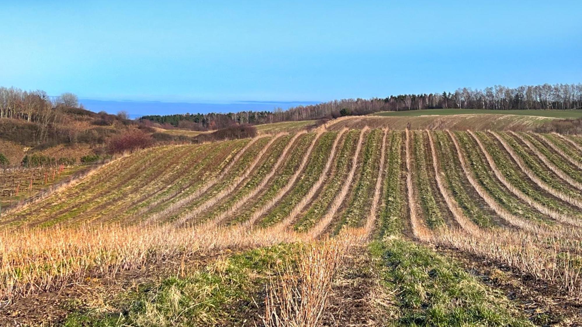 Vila Osada Nad Zalewem Tolkmicko Exteriér fotografie